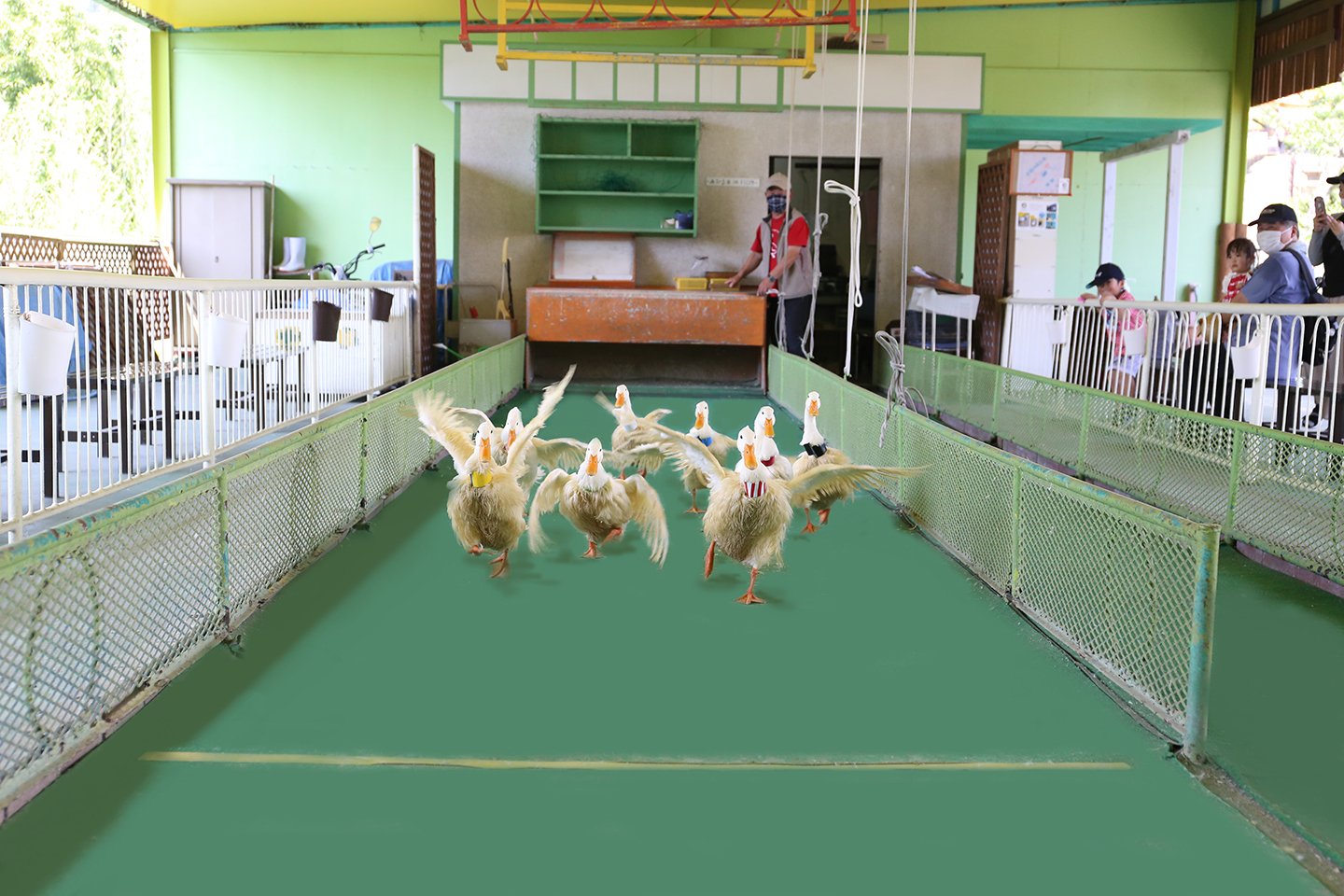 🎡 벳푸 케이블 라쿠텐치 이미지 5